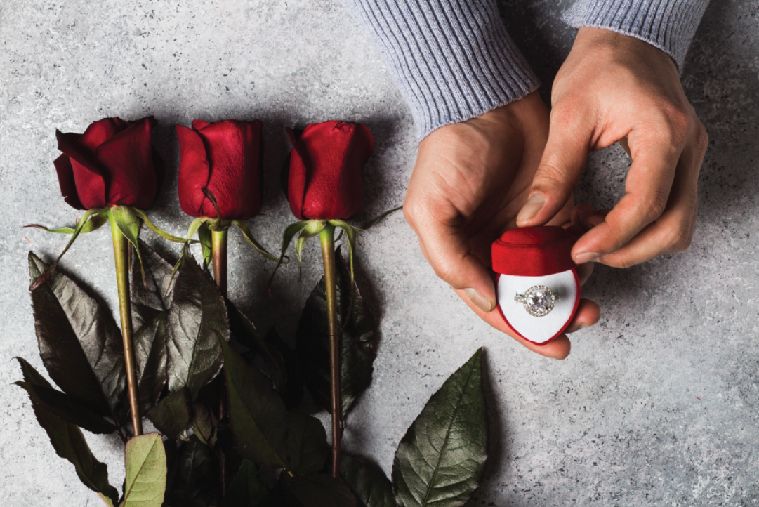 Evlilik Teklifi Organizasyonu