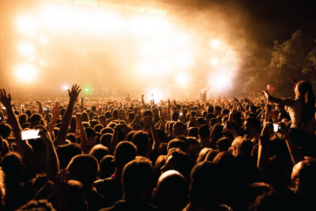 Konser-Festival Organizasyonu